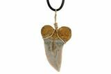 Fossil Mako Tooth Necklace - Bakersfield, California #95243-1
